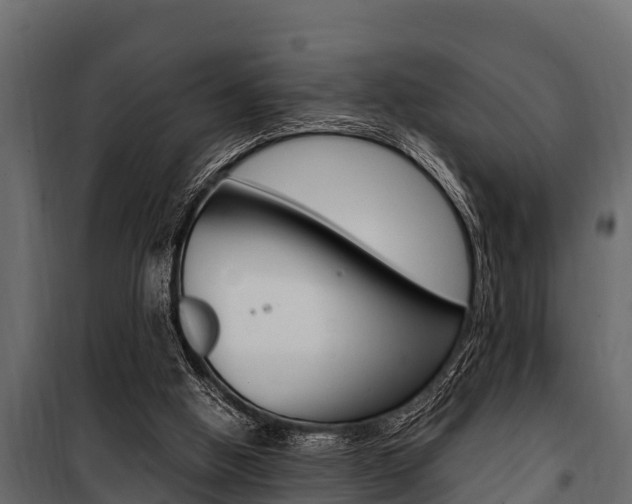 X0000100940058200806241212