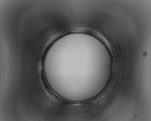 X0000100940059200806241212