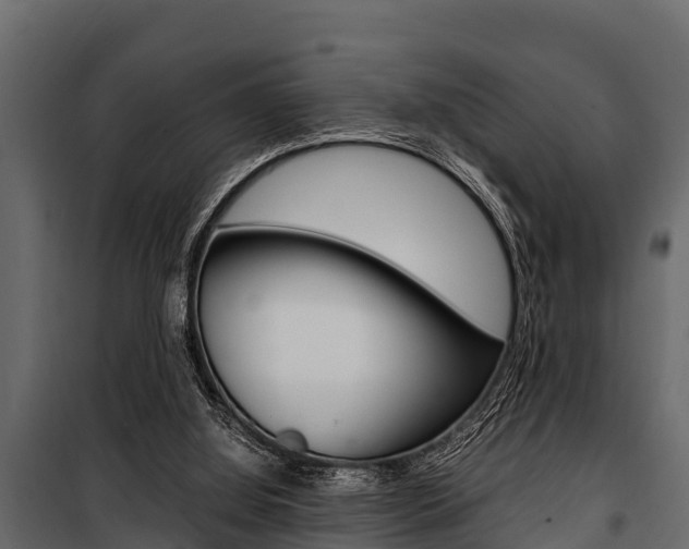 X0000100940060200806241212