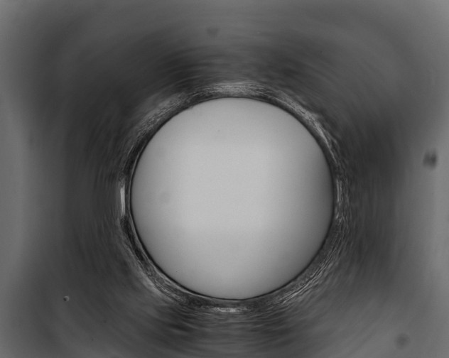 X0000100940061200806241212