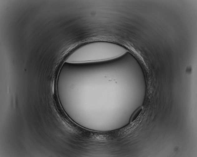 X0000100940062200806241212