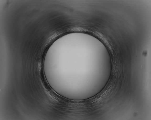 X0000100940063200806241212