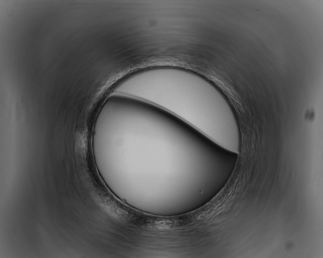 X0000100940064200806241212