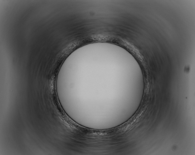 X0000100940065200806241212