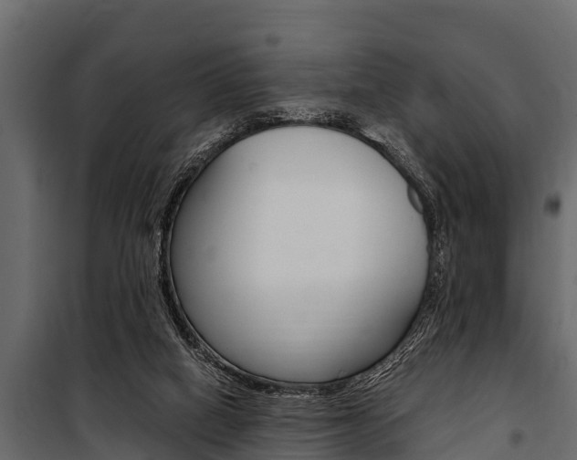 X0000100940066200806241212