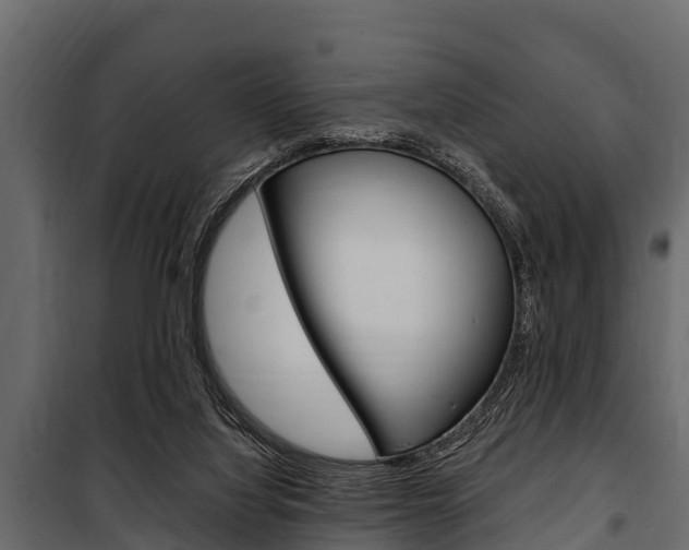 X0000100940068200806241212
