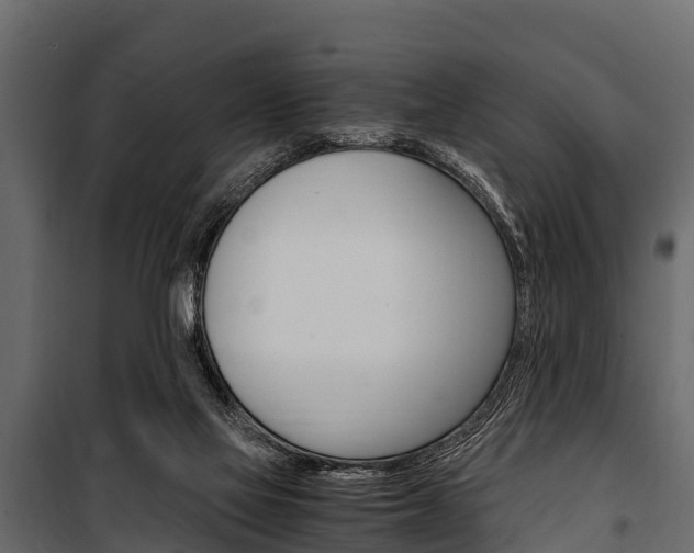 X0000100940069200806241212