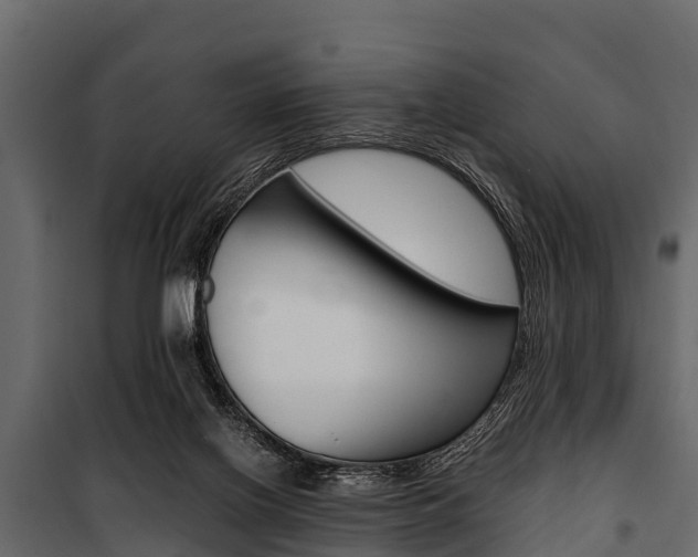 X0000100940070200806241212