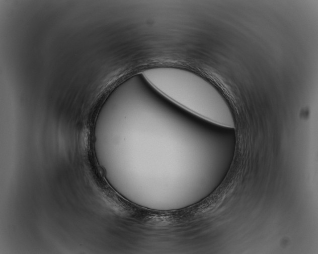 X0000100940071200806241212
