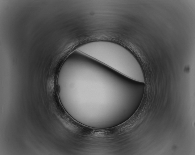 X0000100940072200806241212