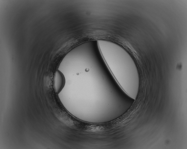X0000100940073200806241213