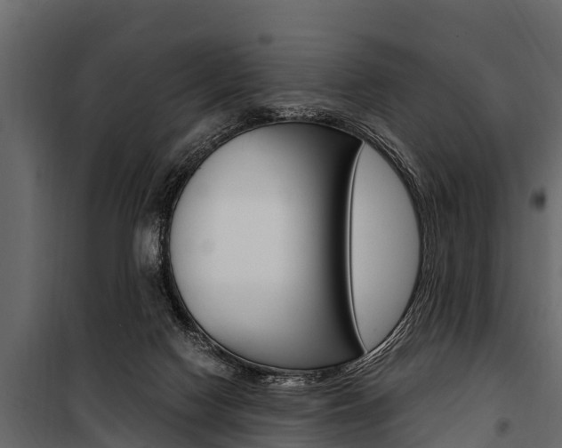 X0000100940074200806241213