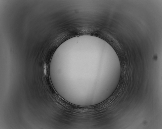 X0000100940075200806241213