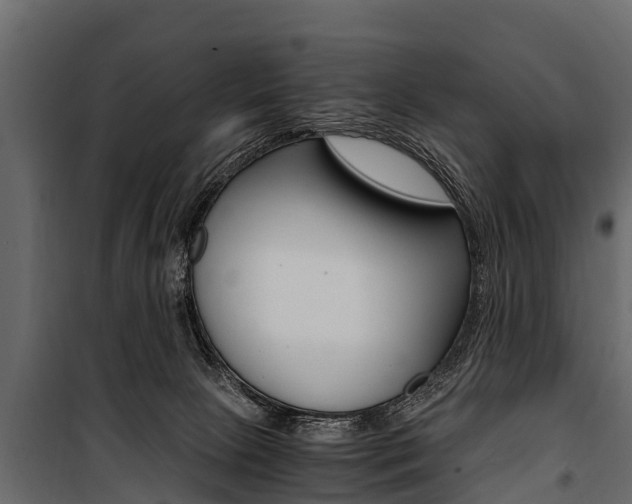 X0000100940081200806241213