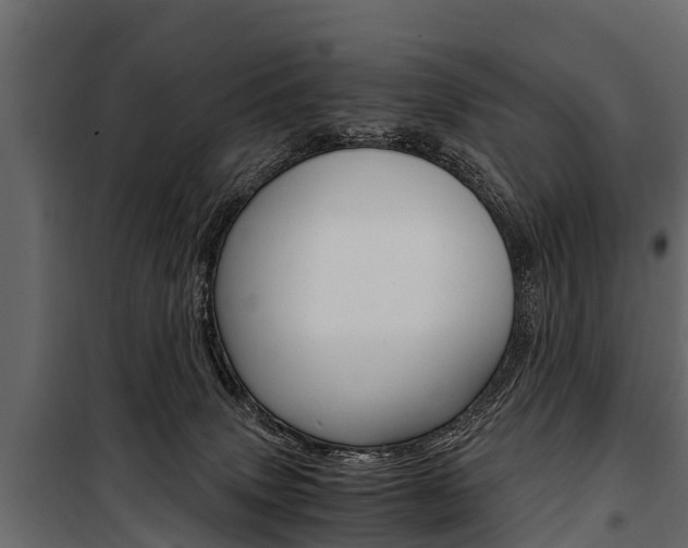 X0000100940083200806241213