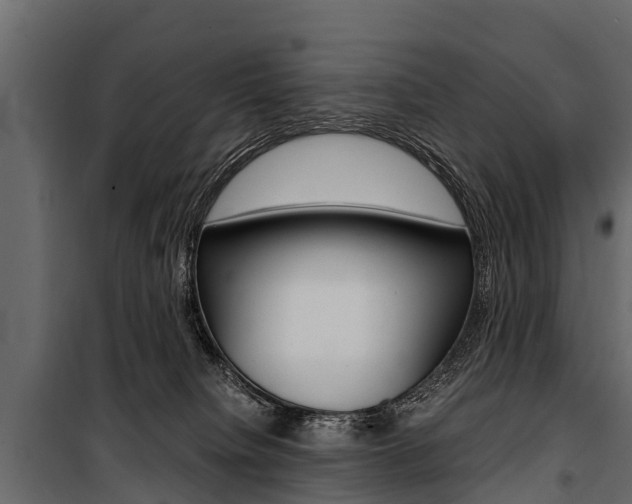 X0000100940084200806241213