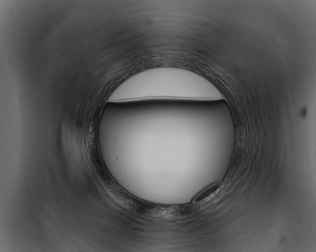 X0000100940086200806241213