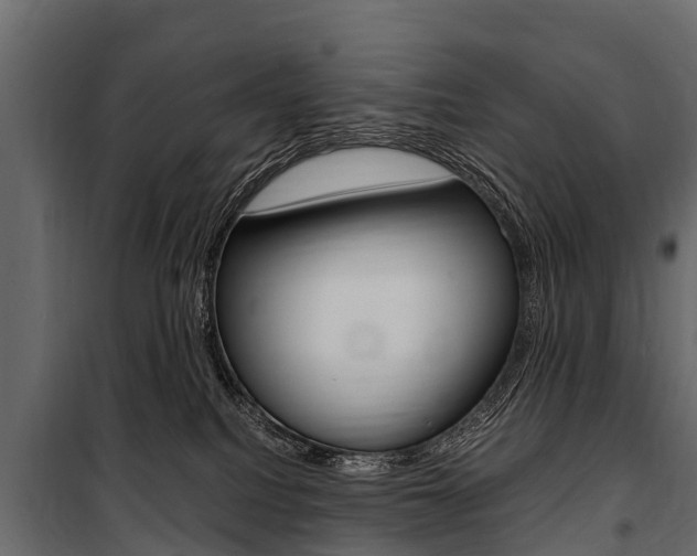 X0000100940088200806241213