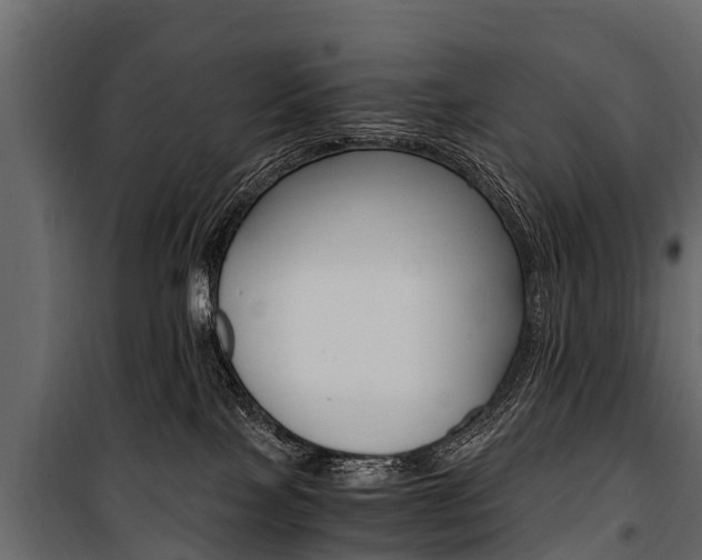 X0000100940089200806241213