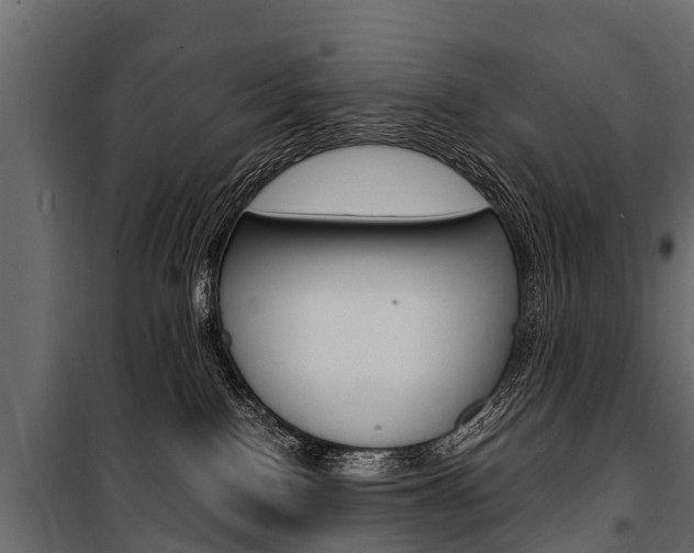 X0000100940090200806241213