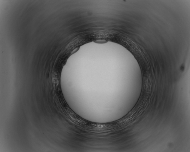 X0000100940091200806241213