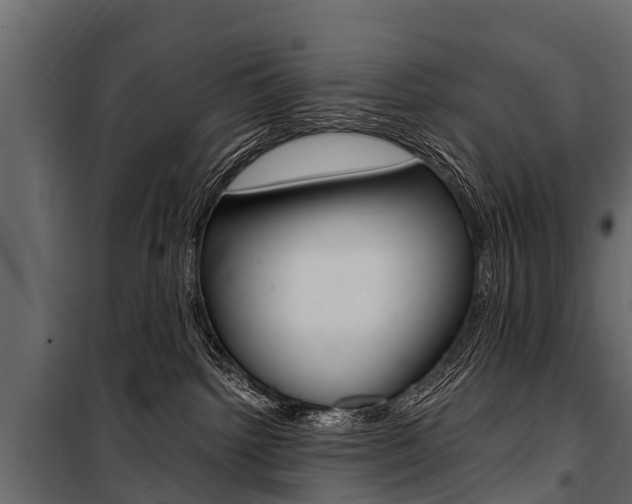 X0000100940092200806241213