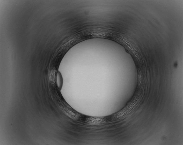 X0000100940093200806241213