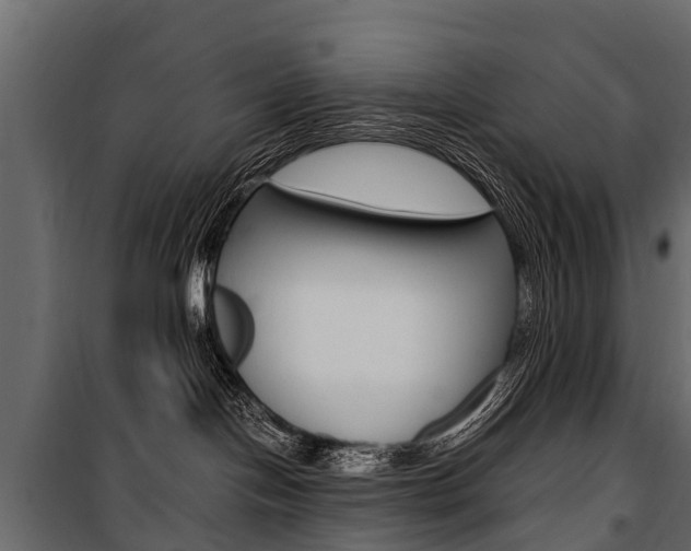 X0000100940094200806241213