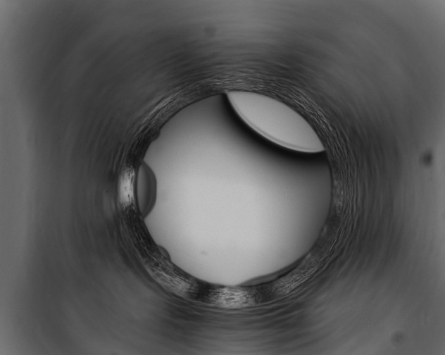 X0000100940095200806241213