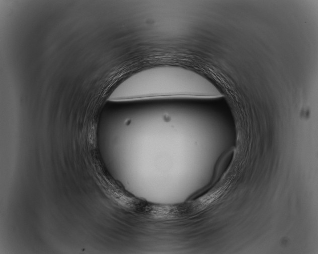 X0000100940096200806241213