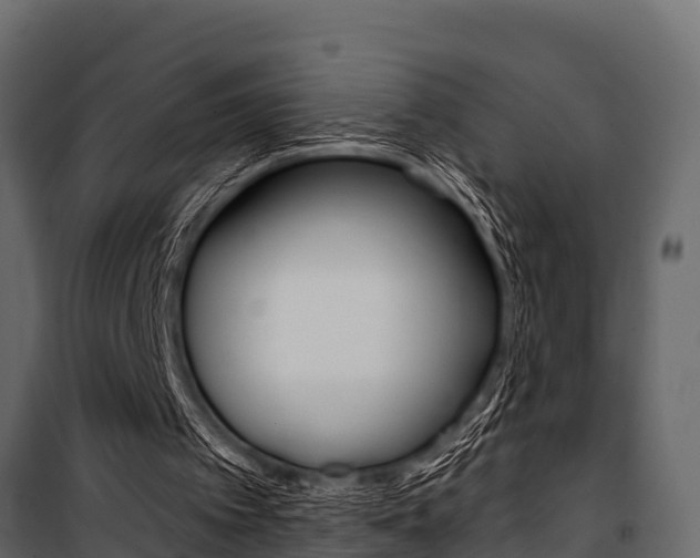 X0000100940097200806241212