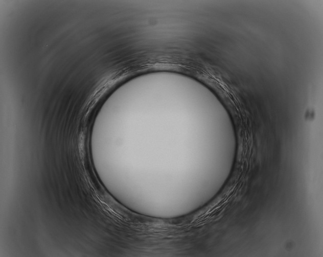 X0000100940098200806241212