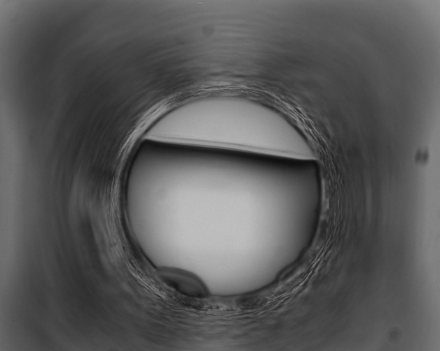 X0000100940099200806241212