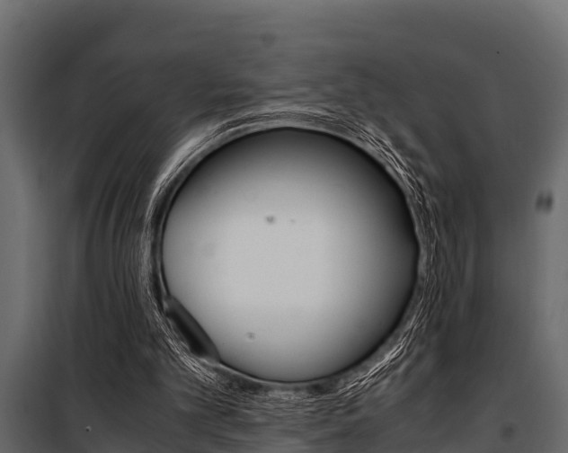 X0000100940101200806241212
