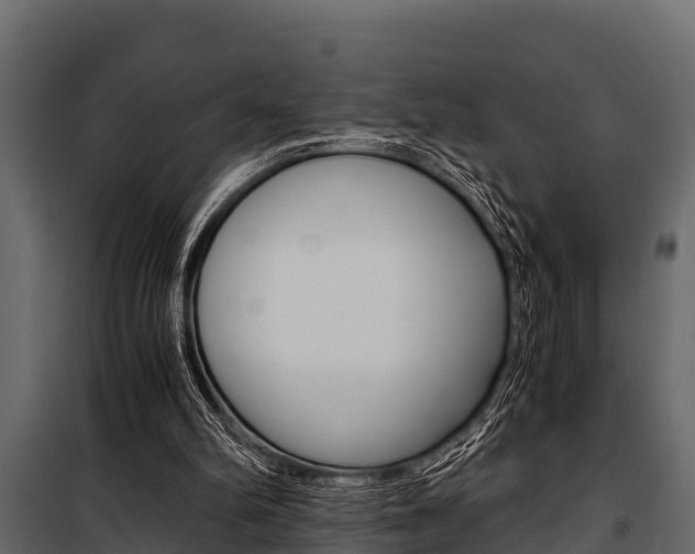 X0000100940102200806241212
