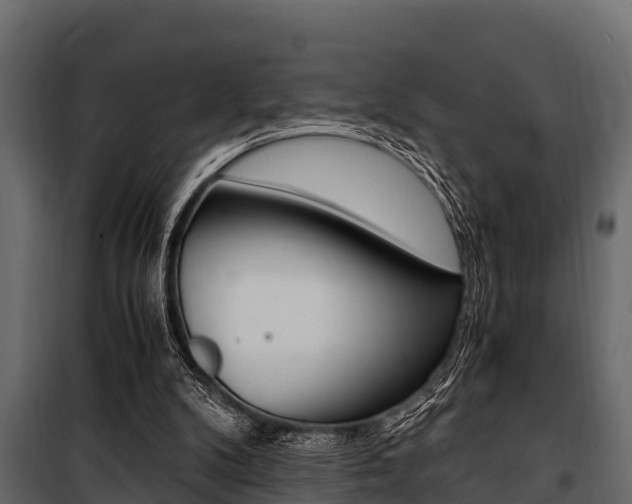 X0000100940104200806241212