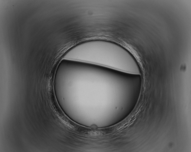 X0000100940105200806241212