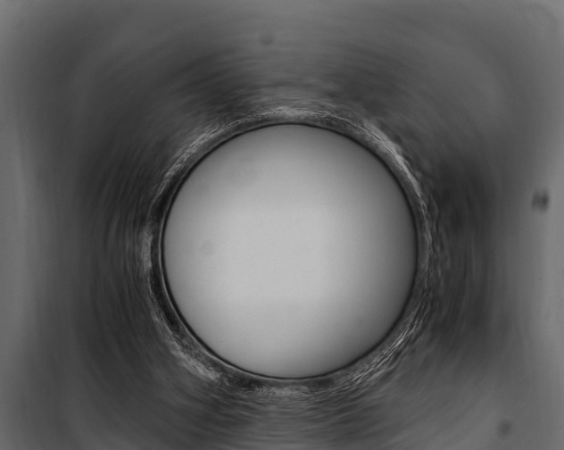 X0000100940106200806241212