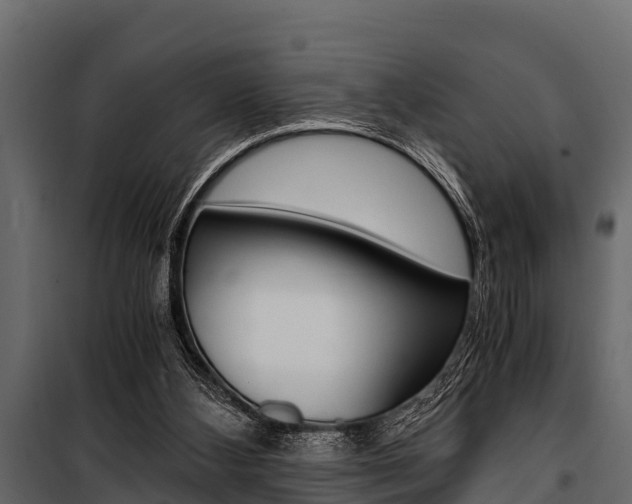 X0000100940108200806241212