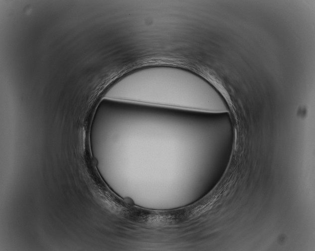 X0000100940109200806241212