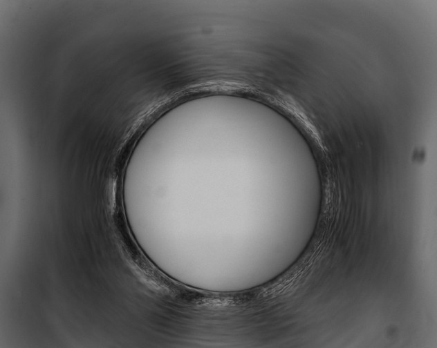 X0000100940110200806241212