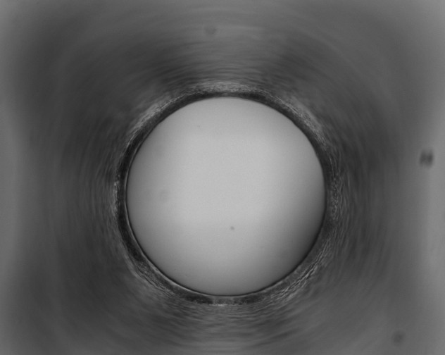 X0000100940111200806241212