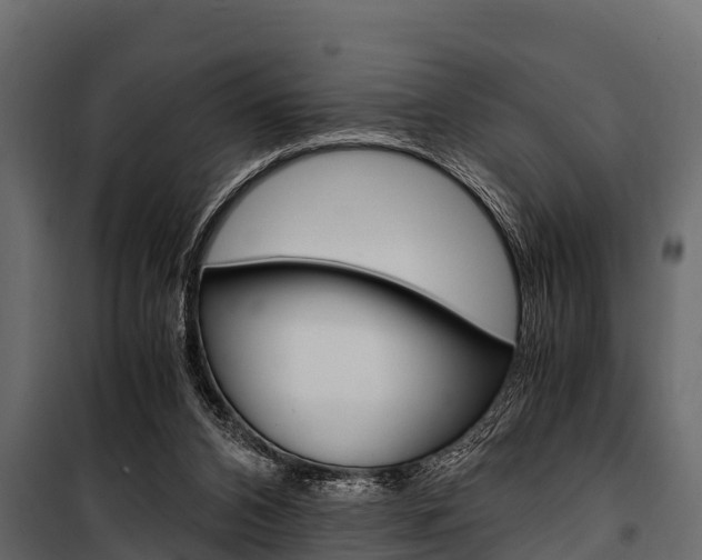 X0000100940112200806241212