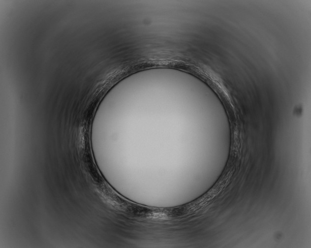 X0000100940114200806241212