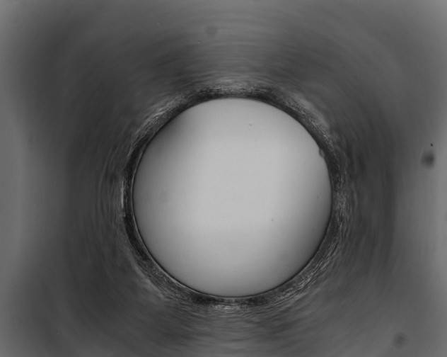 X0000100940115200806241212