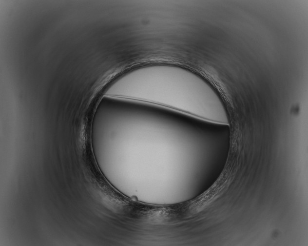 X0000100940116200806241212