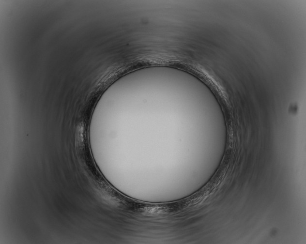 X0000100940117200806241212