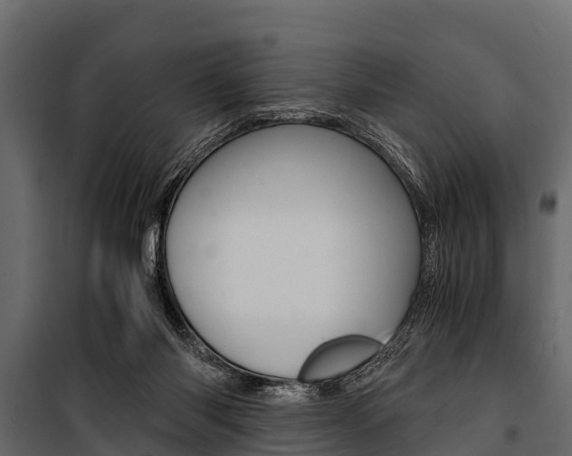 X0000100940118200806241212