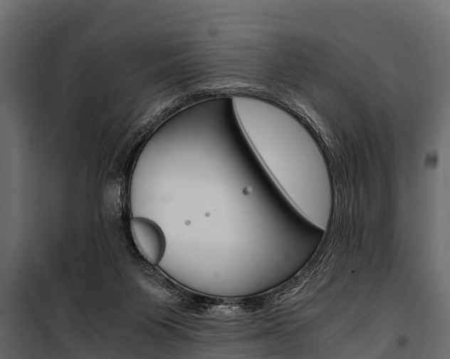 X0000100940119200806241212