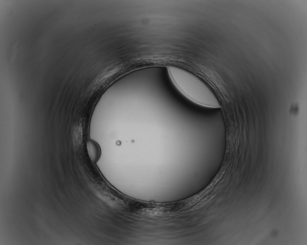 X0000100940120200806241212